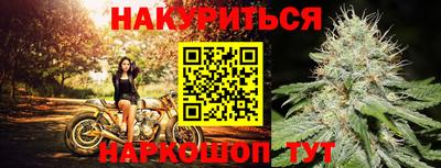 гидра Бийск