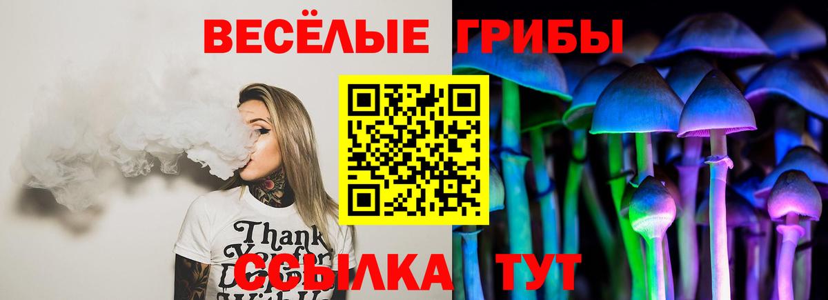 Псилоцибиновые грибы Cubensis  Вход с VPN  Зеленодольск 